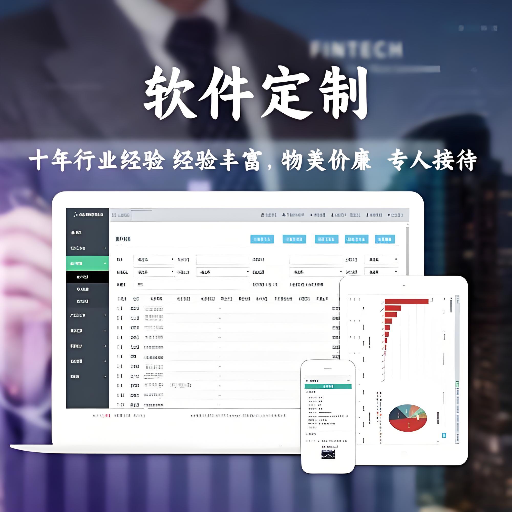 軟件系統開發 從構想到實現的全過程解析