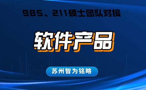 蘇州企業(yè)軟件產(chǎn)品認(rèn)定申請指南 詳解流程、條件與“不成功不收費(fèi)”服務(wù)模式